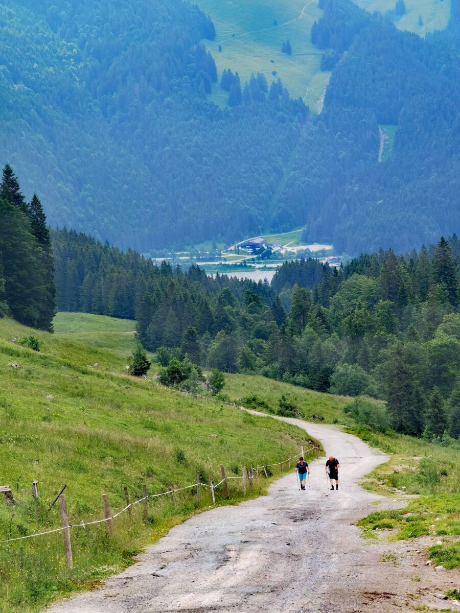 BODENSCHNEID WANDERN ⭐ Traumtour Ab Spitzingsee!