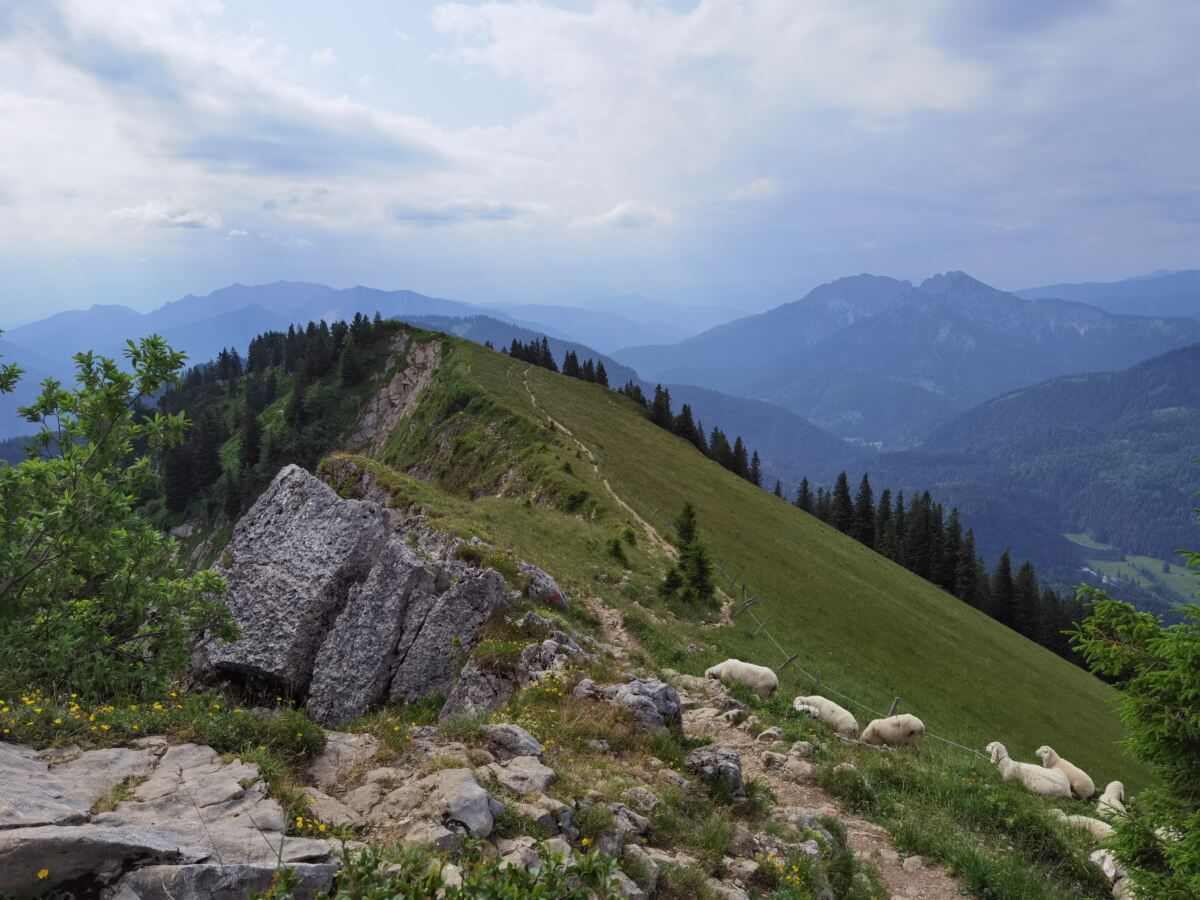 BODENSCHNEID WANDERN ⭐ Traumtour Ab Spitzingsee!