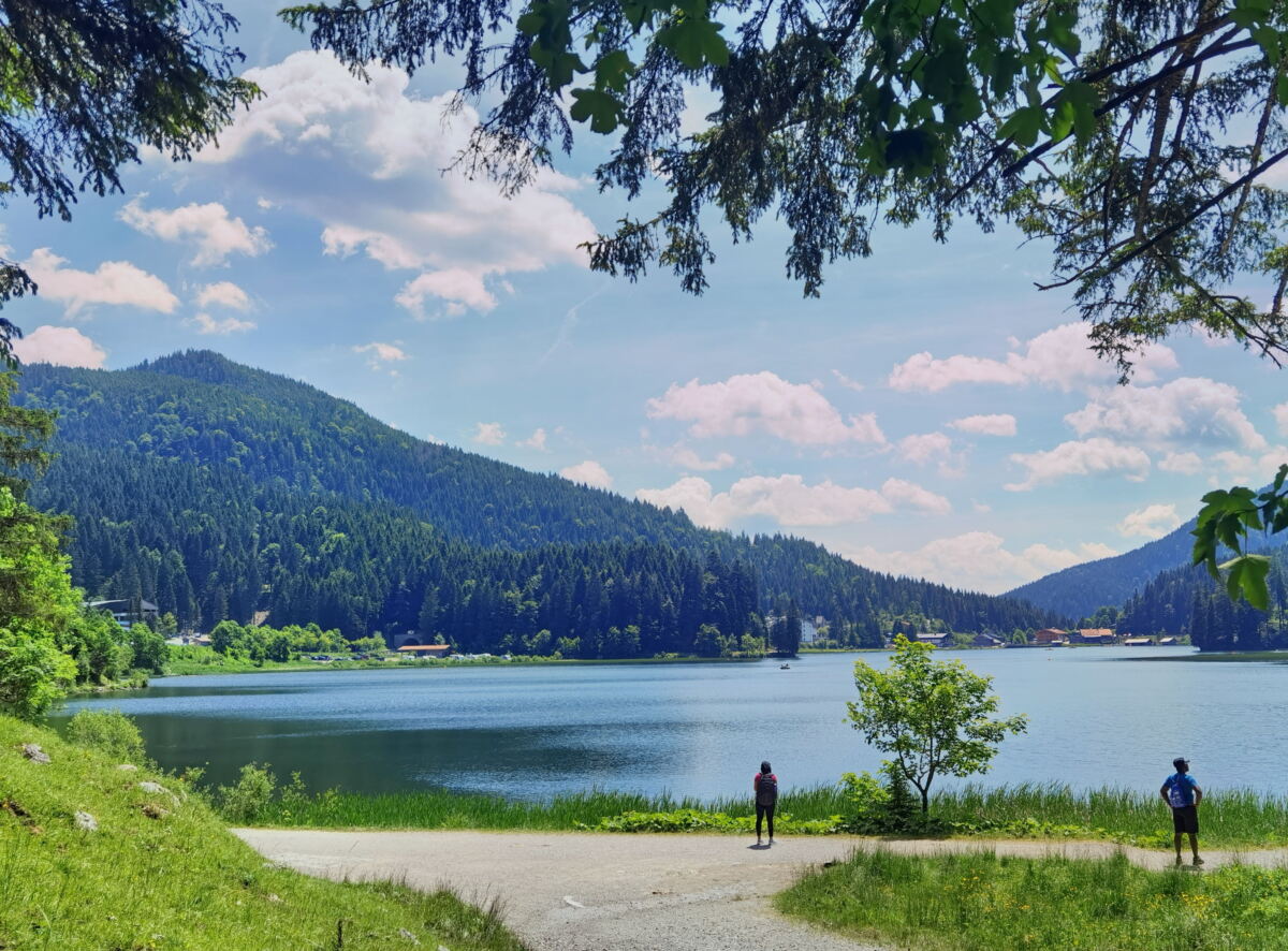 SPITZINGSEE RUNDWEG ⭐‍ Leichte Wanderung, Münchner Hausberge